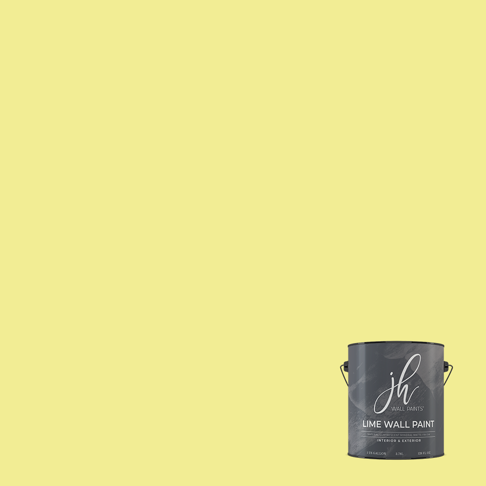 Limewash Wall Paint - Gallon