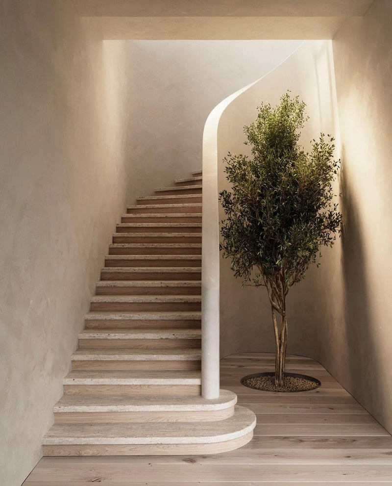 Gorgeous stairway with a tree painted with limewash paint 500 + 501